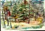 Watercolor by Ted Davis: Cathedral Woods, Monhegan, Maine, represented by Childs Gallery
