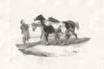 Print by Theodore Gericault: Chevaux Conduits a L'Ecorcheur, represented by Childs Gallery