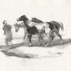 Print by Theodore Gericault: Chevaux Conduits a L'Ecorcheur, represented by Childs Gallery