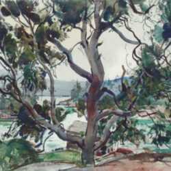 Watercolor by W. Lester Stevens: The Spreading Tree [Vinalhaven, Maine], represented by Childs Gallery