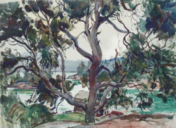 Watercolor by W. Lester Stevens: The Spreading Tree [Vinalhaven, Maine], represented by Childs Gallery