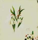 Painting by William Partridge Burpee: (Study of flowers), represented by Childs Gallery