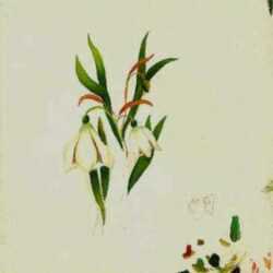 Painting by William Partridge Burpee: (Study of flowers), represented by Childs Gallery