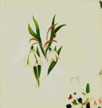 Painting by William Partridge Burpee: (Study of flowers), represented by Childs Gallery